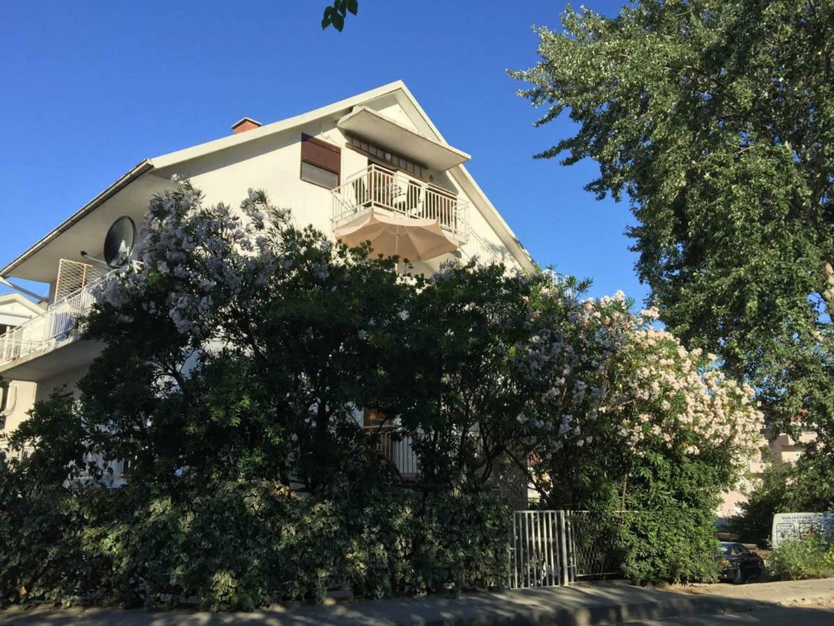 Monika Apartment Tivat Luaran gambar